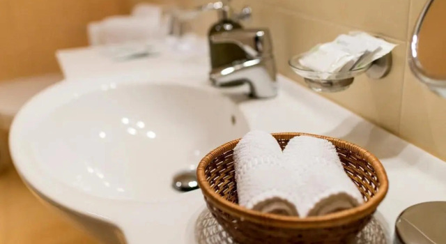 Двухместный люкс Hotel Pušyno Namai