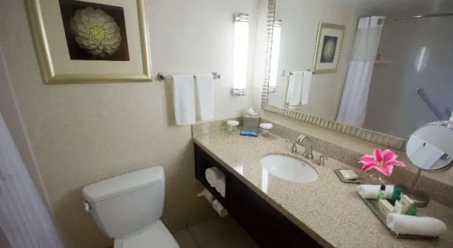 Шестиместный номер Standard Hilton Palm Beach PBI