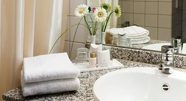 Номер Standard Hotel Rheingold