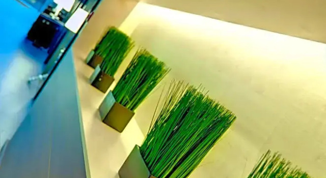 Номер Standard Hotel Las Terrazas