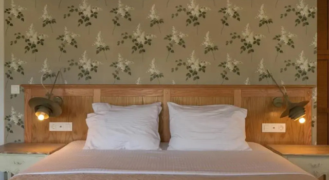 Люкс Liadromia Hotel