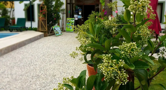 Kilim Hotel