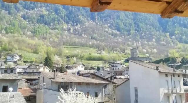 Номер Standard Curt di Clement Eco Mobility Hotel