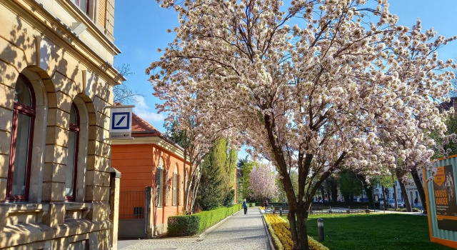 Ferienwohnung Xenia, Забронировать Отель Пирна 