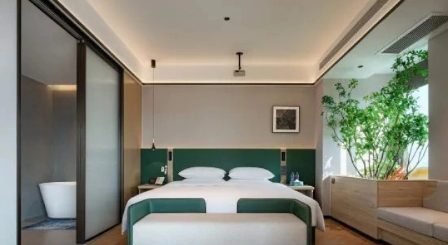 Двухместный люкс Meiji Hotel