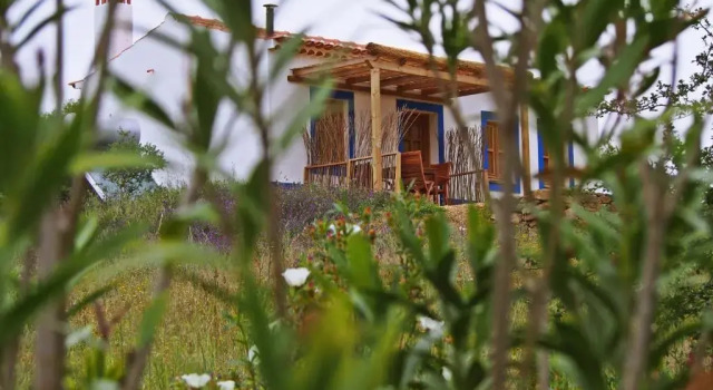 Коттедж c 1 комнатой Casas de Campo do Castro da Cola