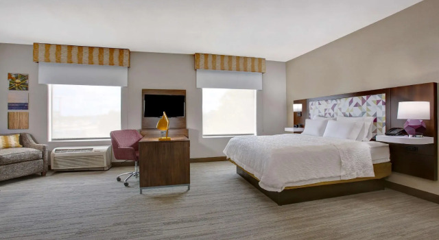 Двухместный люкс Hampton Inn & Suites Dallas-DeSoto