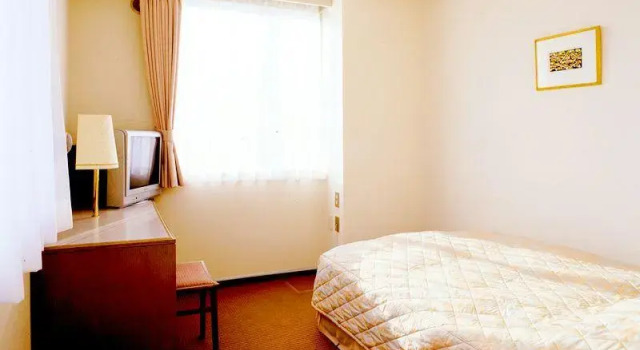 Одноместный номер Standard Mombetsu Central Hotel