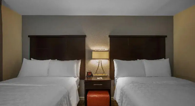 Номер Standard Sonesta ES Suites Orlando - Lake Buena Vista