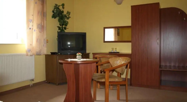Одноместный номер Standard с красивым видом из окна Hotel Pod Dębami