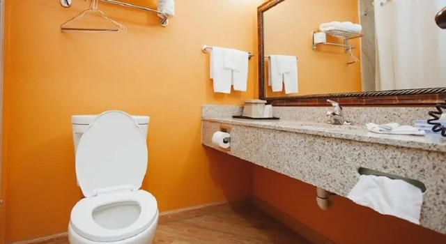 Номер Standard Palace Inn