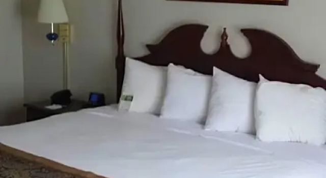 Номер Premier Wingate by Wyndham Atlanta/Six Flags Austell