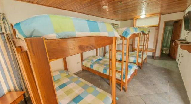 Семейный номер Standard Hotel Posada Los Delfines