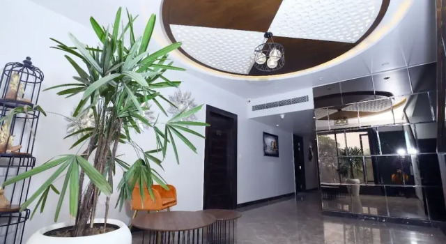 DD Suites