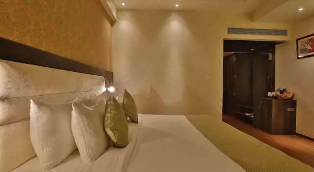 Одноместный номер Standard c 1 комнатой с видом на город Hotel Ranbirs