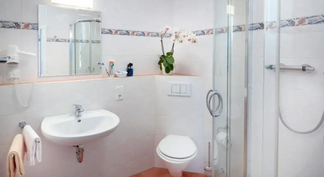 Номер Standard Landhotel Halbfas-Alterauge