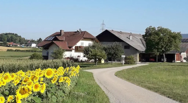 Апартаменты Gästehaus Lipnik
