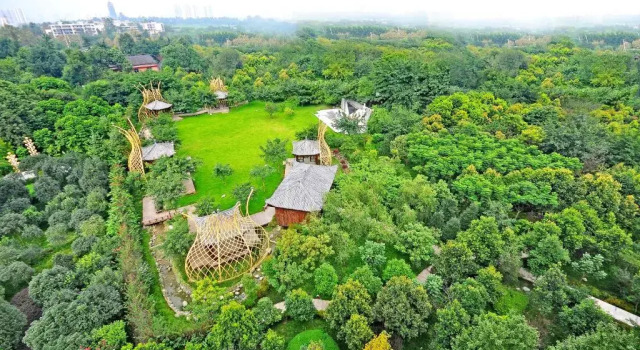Номер Business Chengdu Wangjiang Hotel