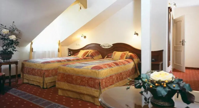 Двухместный номер Standard Hotel Aleksander