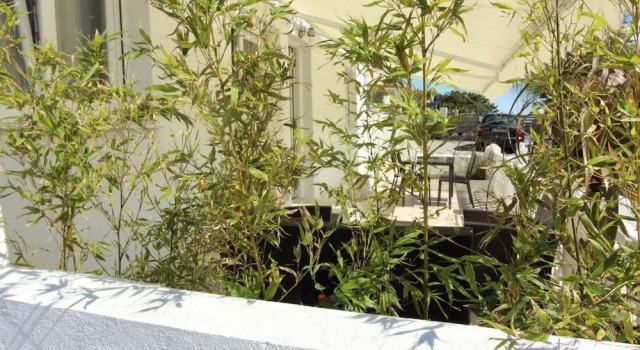 Sardinero terraza barbacoa 6p playa, Забронировать Отель Отели Сантандера 3 звезды, рядом с Рынок Мунисипаль дель Эсте, 3*