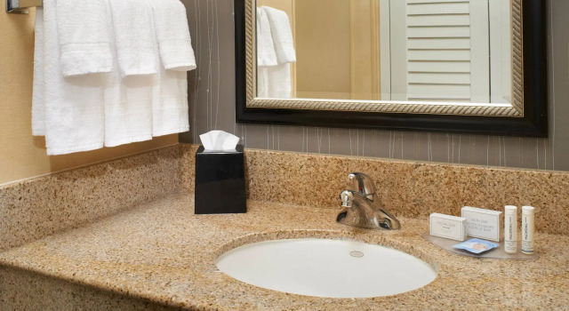 Четырёхместный номер Standard Courtyard by Marriott Detroit Livonia
