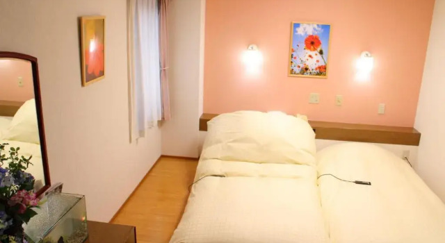 Двухместный номер Superior Business Hotel Raicho