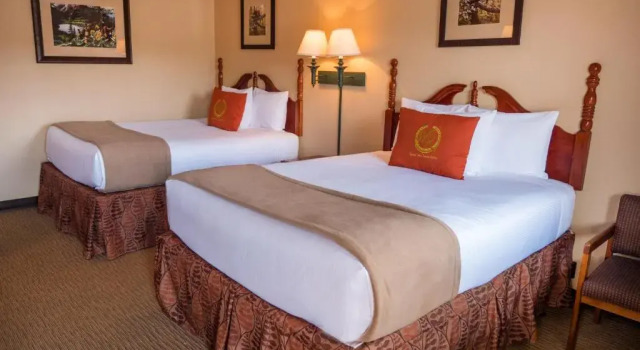 Четырёхместный номер Standard Wild Bear Inn