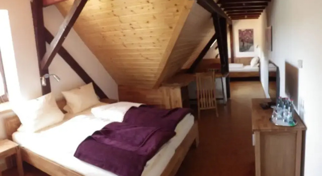Люкс Waldhaus Knittelsheimer Mühle