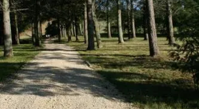 Savana Estate, Rezerwuj Hotel Hotele w Poukawa z basenem, Basen