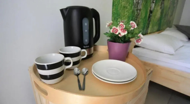 Номер Economy Flamingo Premium Hostel