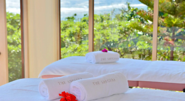 The Shigira, Rezervovat Hotel Wellness hotely v Miyako Island, SPA