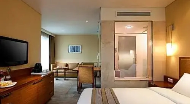 Студия Deluxe Novotel Ambassador Doksan Seoul