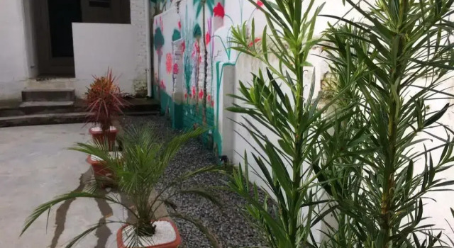 L & M Hostel, Забронировать Хостел Вила-Мариана Сан-Пауло, рядом с Больница Сепаку