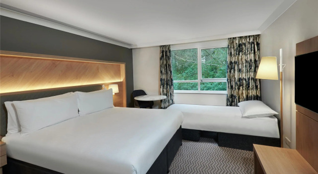 Двухместный номер Standard Hilton Cobham