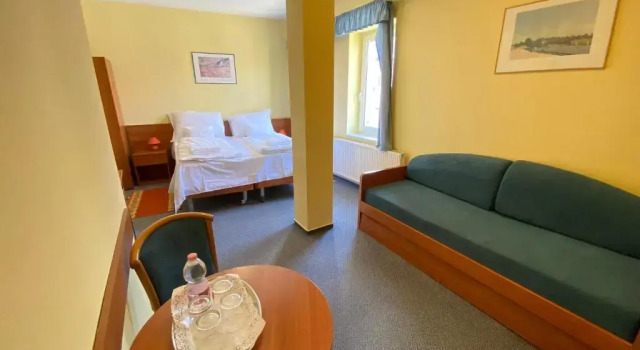 Номер Standard Tisza Alfa Hotel