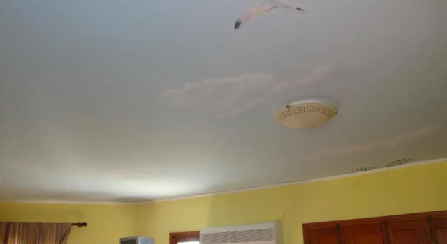 Двухместный номер Standard Tommys Rooms