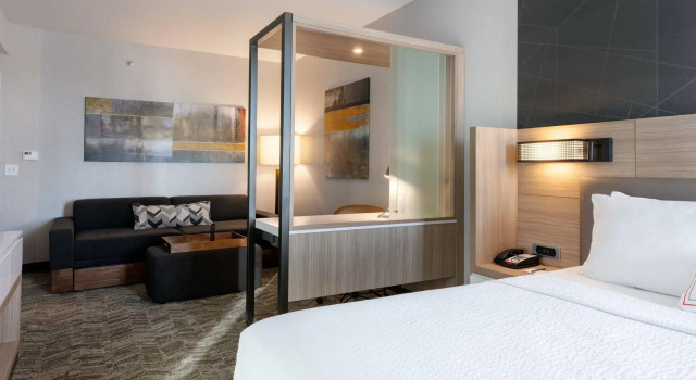 Двухместный люкс SpringHill Suites by Marriott Chattanooga South/Ringgold