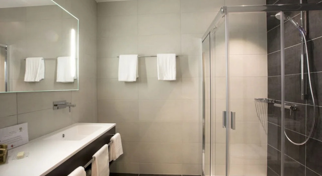 Двухместный номер Standard с видом на горы Martigny Boutique-Hôtel