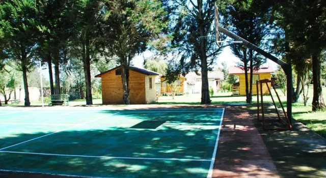 Трёхместный номер Standard Hosteria Airport Garden