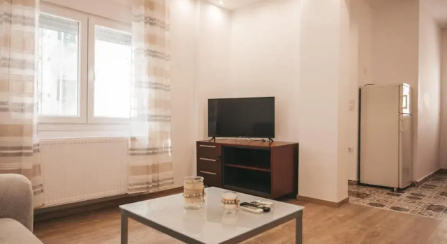 Comfortable apartment in the city center