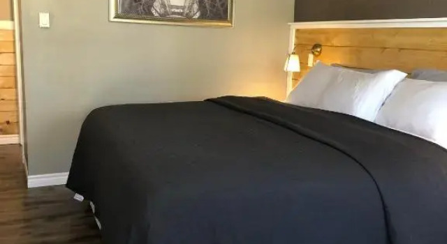 Номер Standard Greenside Motel