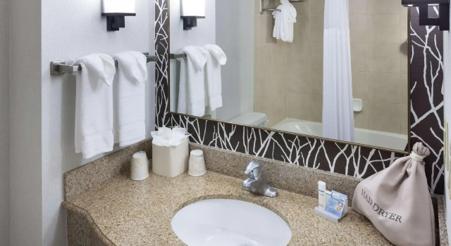 Двухместный номер Whirlpool Hilton Garden Inn Nashville Vanderbilt