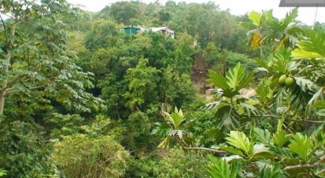 Tru Ites Guesthouse