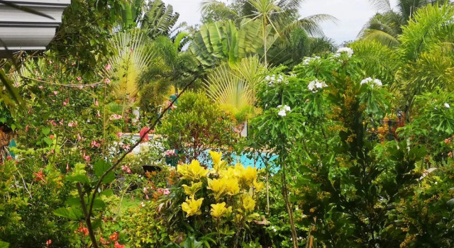 Номер Deluxe Garden Bungalows Resort