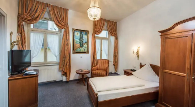 Одноместный номер Economy Hotel Goldener Löwe