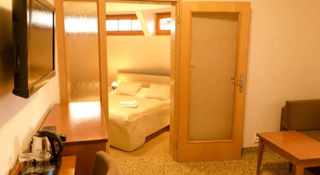 Люкс Hotel VÍTKOVA HORA
