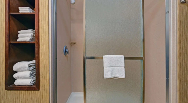 Двухместный номер Standard Hampton Inn Deming