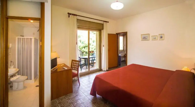 Трёхместный номер Standard Hotel delle Palme