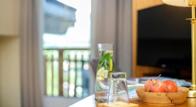 Одноместный номер Standard Hotel Seppl
