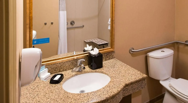 Четырёхместный номер Standard Hampton Inn & Suites Rifle